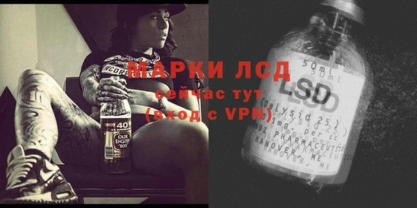 spice Бугульма